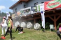 img_7274_large.jpg