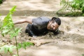 _ccc4253_large.jpg