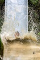 _dsc7415_large.jpg