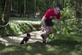 img_1989_kopie_large.jpg
