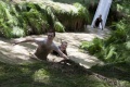 img_1992_kopie_large.jpg