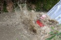 img_2039_kopie_large.jpg