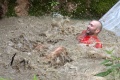 img_2040_kopie_large.jpg