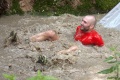 img_2041_kopie_large.jpg
