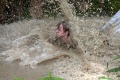 img_2053_kopie_large.jpg