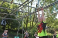 img_8520.jpg