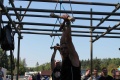 img_8549.jpg