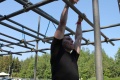 img_8554.jpg