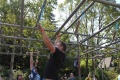 img_8590.jpg