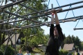 img_8601.jpg