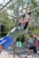 img_9153.jpg