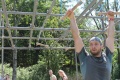 img_9336.jpg
