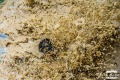 Foto Radek Caga