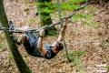 2018_mad_race_56.jpg
